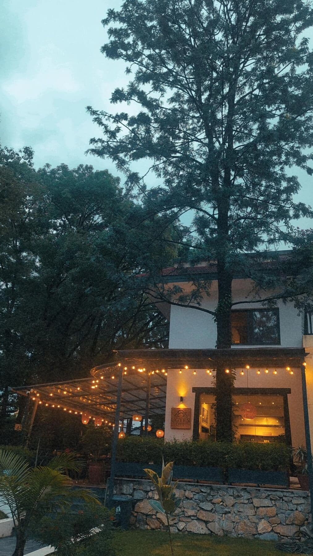The cafe at dusk, its terrace lit with string lights beneath a tall tree