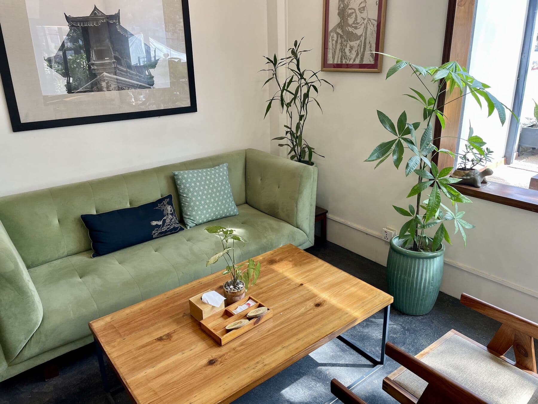 A green sofa, a wooden coffee table and plants in the indoor room
